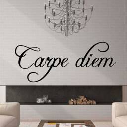 Carpe Diem - 0124 Wall Art Decal, Transfer, Mural, Sticker, 75 Colours, 5 Sizes, Interior Or Exterior Use , Easy To Apply - thumbnail 1