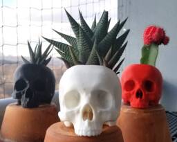 Skull Succulent Planter Gothic Home Garden Decor 3D Printed - thumbnail 1
