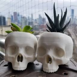Skull Succulent Planter Gothic Home Garden Decor 3D Printed - thumbnail 2