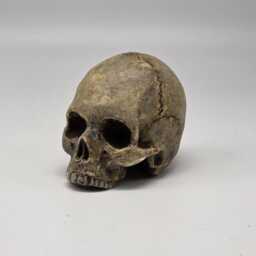 Solid Tiny Human Half Skull Ornament. Small Replica Plaster Of Paris Skull - thumbnail 4