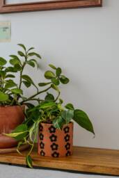 Handmade Concrete Planter - Tan With Black Daisy Pattern