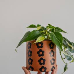 Handmade Concrete Planter - Tan With Black Daisy Pattern - thumbnail 2