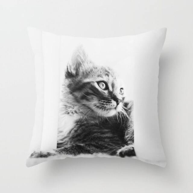 Cat Pillow Cover - Kitten Case Cute 16x16 18x18 20x20 Black & White Pet - image 1
