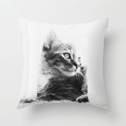 Cat Pillow Cover - Kitten Case Cute 16x16 18x18 20x20 Black & White Pet - thumbnail 1