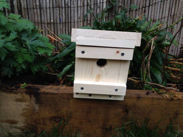 Dormouse Nesting Box - image 1