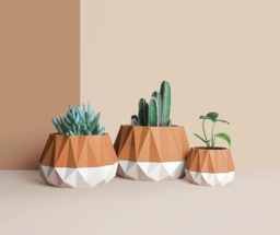 3D Printed Cactus, Succulent Planters , Mid Century Idea Gift For Home, Large Planter Pot