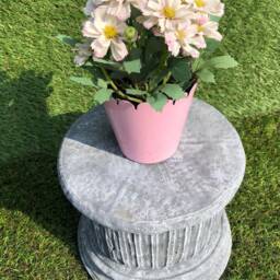 Concrete Large Plinth Column Round Stand Outdoor Animal Bird Feeder/Display Frost Protected - thumbnail 3