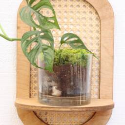 Rattan Plant Shelf - Cane Wall Planter Sconce Boho - thumbnail 3