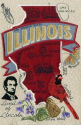 Illinois State Pillow With Feather Insert - thumbnail 3