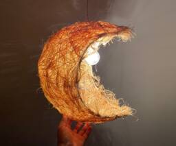 Rattan Silk Moon-Shaped Pendant Lights, Moon Lighting Fixture, Decor Ceiling Lamp