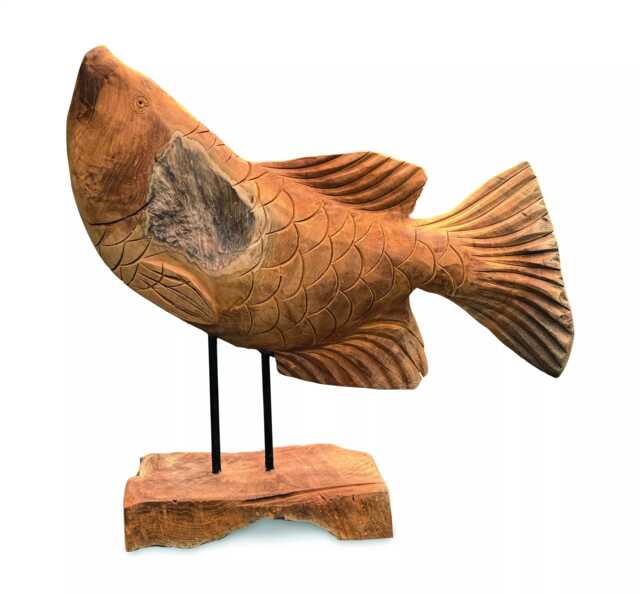 star Gazing Koi Carp Sculpture 50cm - image 1