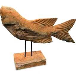 star Gazing Koi Carp Sculpture 50cm - thumbnail 3