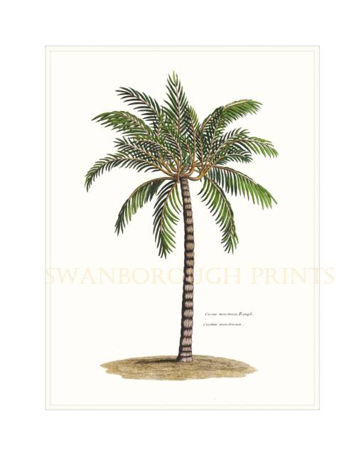 Palm Tree Art Print. Painting Beach Wall Decor On Archival Watercolour Paper - image 1
