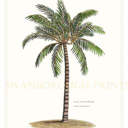 Palm Tree Art Print. Painting Beach Wall Decor On Archival Watercolour Paper - thumbnail 3