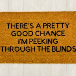 Outdoor Mats, Funny Doormats For The Home, Peeking Through The Blinds, Housewarming Gift Ideas, Hilarious Welcome Entryway Mats - thumbnail 2