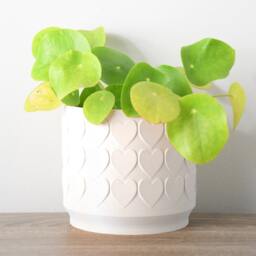 "Heart Planter With Drainage & Saucer in White, Cute 3D-Printed Plant Pot, Small To Large Sizes 4"" 5"" 6"" 7"" 8" - thumbnail 3