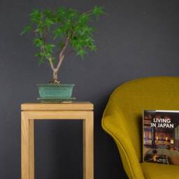 Japanese-Inspired Side Table - Pedestal Japanese Furniture - thumbnail 2
