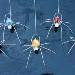 Wall Hanging Spider, Large & Decorative - thumbnail 2