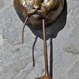 Cat Door Knocker Bronze - thumbnail 3
