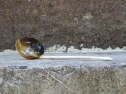 Spoons Compote /Turkish Traditional Form/Hand Made - thumbnail 1