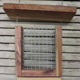 Suet Bird Feeder Woodpecker Thrushes Oriole Blue Jay - thumbnail 2
