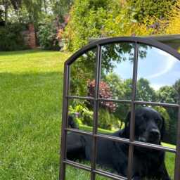 Arched Region Garden Wall Mounted Hanging Mirror Outdoor Indoor Gift Decorative - thumbnail 3