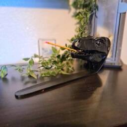 Velociraptor Incense Holder - Dinosaur - thumbnail 3