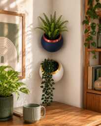 Spherical Corner Planter Two-Tone Wall-Mounted Plant Pot - thumbnail 1