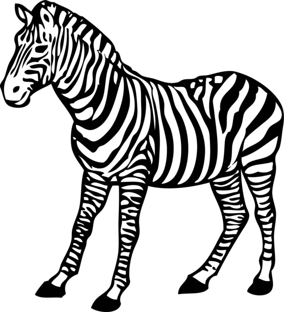 Animal Zebra Kid Children Baby Room Printable Wall Art