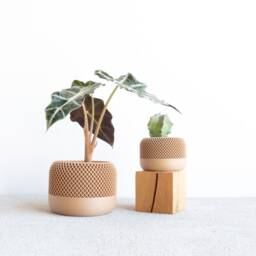 Indoor Wood Planter - Apple Original Gift For Plant Lovers - thumbnail 2