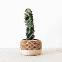 Indoor Wood Planter - Apple Original Gift For Plant Lovers - thumbnail 1