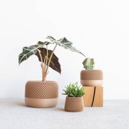 Indoor Wood Planter - Apple Original Gift For Plant Lovers - thumbnail 3