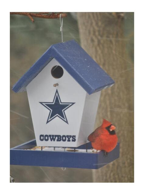 Dallas Cowboys Bird Feeder - image 1