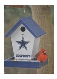 Dallas Cowboys Bird Feeder - thumbnail 1