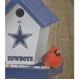 Dallas Cowboys Bird Feeder - thumbnail 2