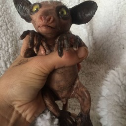 New Baby Ayeaye - thumbnail 2