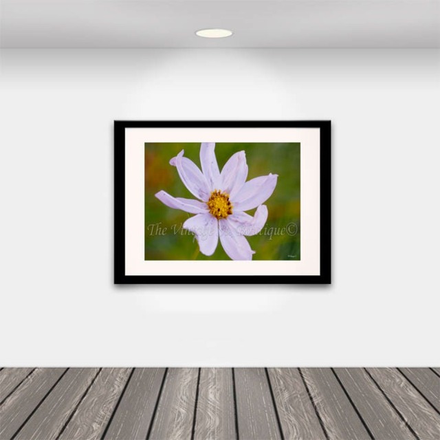 Print/ Art Wall Art/ Flowers/Photography/ Home Decor/ Card Making Supplies/ Digital - You Print - image 1