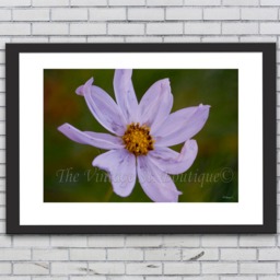 Print/ Art Wall Art/ Flowers/Photography/ Home Decor/ Card Making Supplies/ Digital - You Print - thumbnail 2