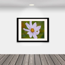 Print/ Art Wall Art/ Flowers/Photography/ Home Decor/ Card Making Supplies/ Digital - You Print - thumbnail 1