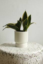 Planter Elif Blumentopf Wei?? Indoor Pflanztopf ??bertopf Plant Pot 3Dprinted in White - thumbnail 1