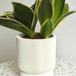 Planter Elif Blumentopf Wei?? Indoor Pflanztopf ??bertopf Plant Pot 3Dprinted in White - thumbnail 2