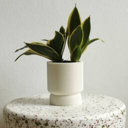 Planter Elif Blumentopf Wei?? Indoor Pflanztopf ??bertopf Plant Pot 3Dprinted in White - thumbnail 3