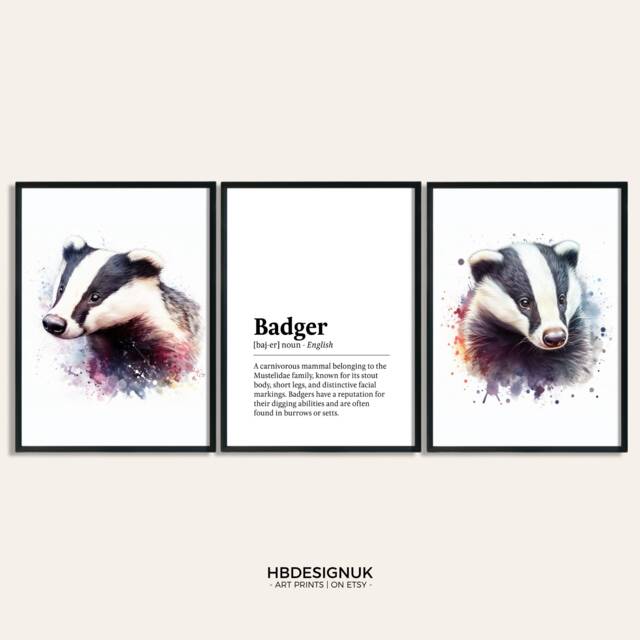 Badger Poster Set - Of 3 Prints - Watercolour Print Wall Hanging Decor British Wildlife Art Gifts Artwork - image 1