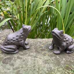 Pair Of Small Cast Iron Metal Frog Statue Garden Ornaments - thumbnail 2