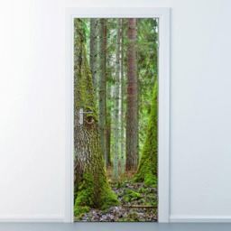 Into The Forest Door Sticker, Wallpaper, Mural, Bedroom Living Room Home Decor, Wall Decor Cover - thumbnail 2