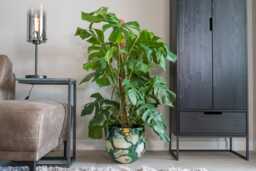 Handmade Bee Green Metal Plant Pot Lammie Design, Unique Indoor Planter, Multiple Sizes