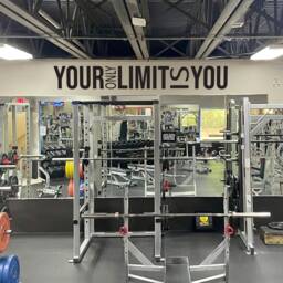 Inspirational Fitness Quote, Gym Wall Decal, Classroom Decor, Your Only Limit Is You 034 - thumbnail 2