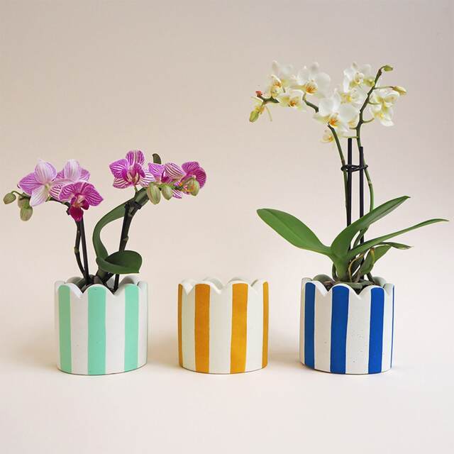 Small Scalloped Stripy Pot - Choose Your Colours - image 1