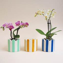Small Scalloped Stripy Pot - Choose Your Colours