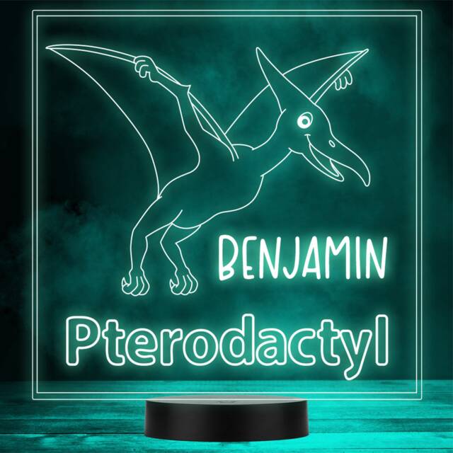 Kids Cute Dinosaur Fan Pterodactyl Led Personalised Gift Night Light - image 1
